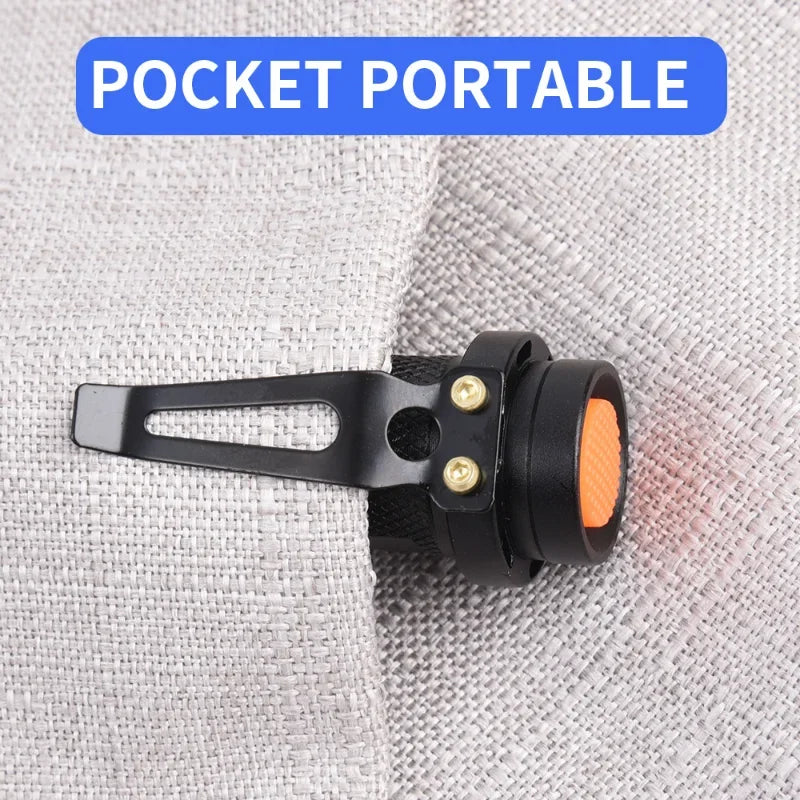 395/365nm UV LED Ultraviolet Stain Detector Mini Flashlight