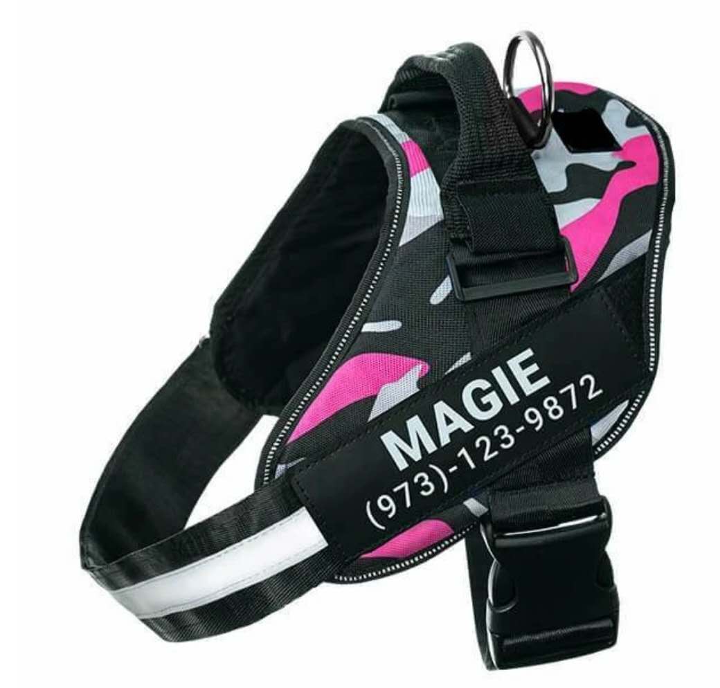 Personalized Reflective Adjustable Harness Vest For Small and Large Pet