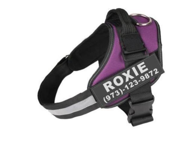 Personalized Reflective Adjustable Harness Vest For Small and Large Pet