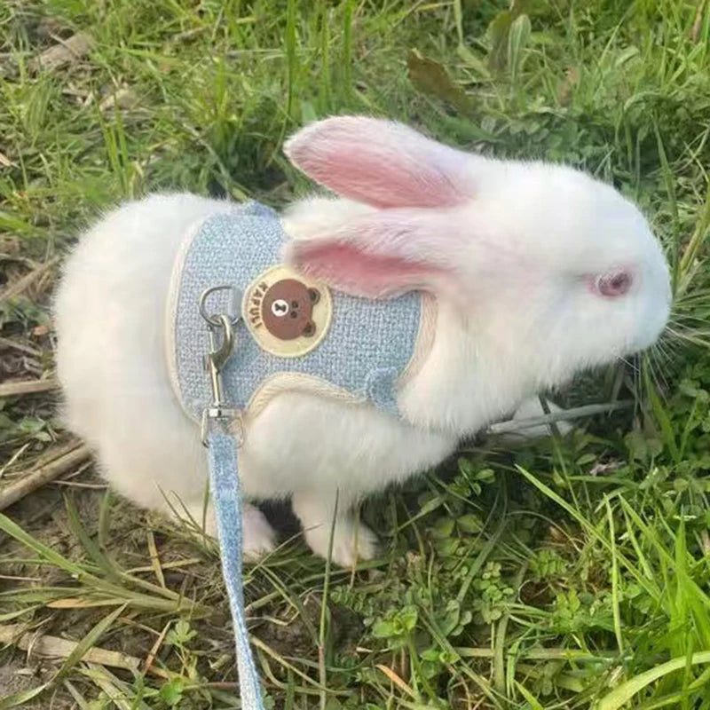 Rabbit Harness Outdoor Walking Pets Supplies