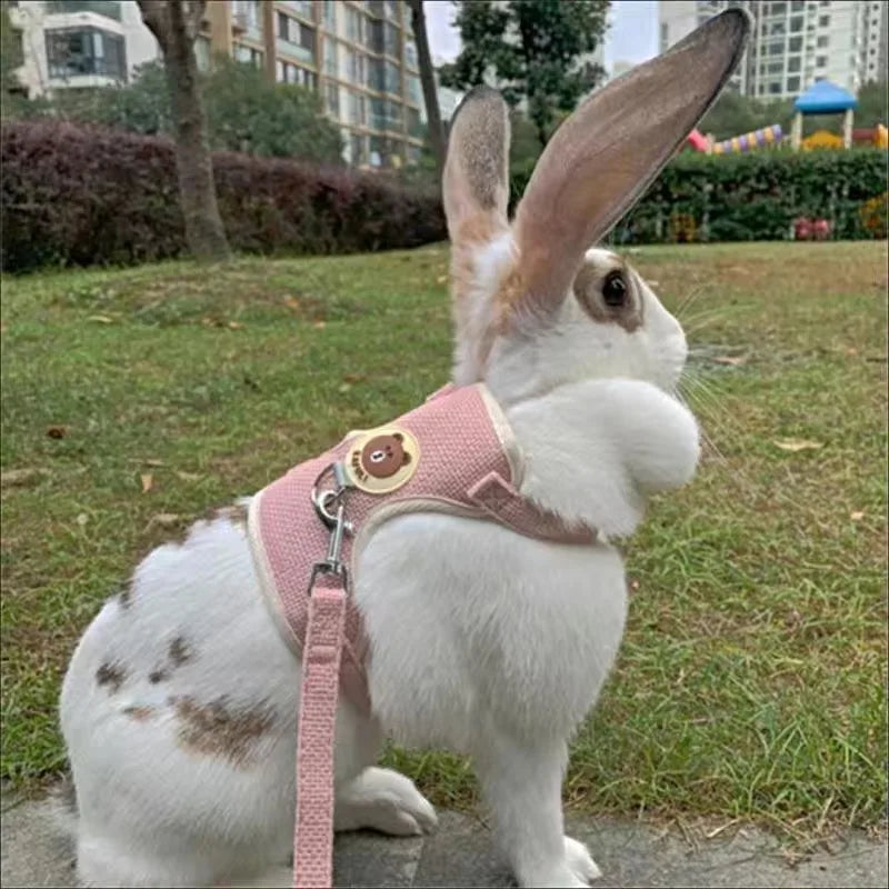 Rabbit Harness Outdoor Walking Pets Supplies