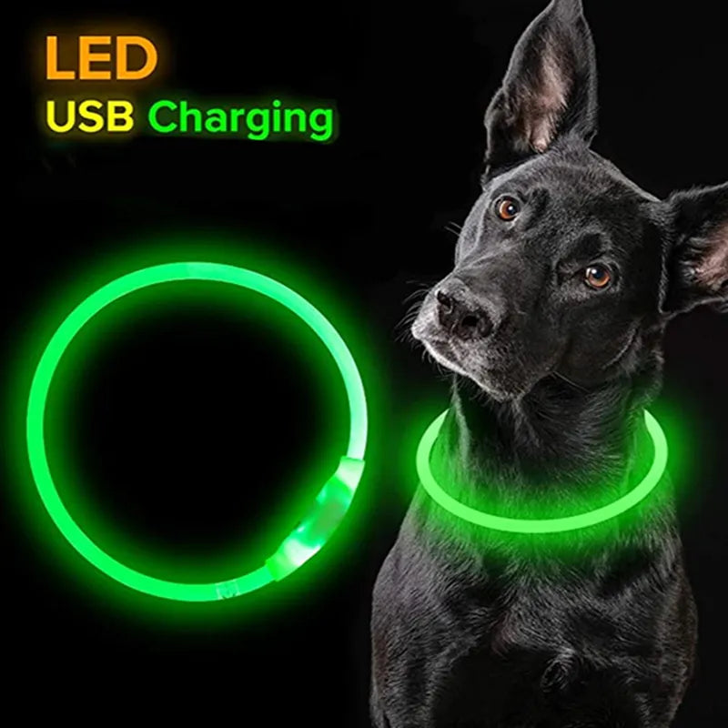 Led Light Rechargeable Detachable Glowing Luminous  Dog And Cat Collar